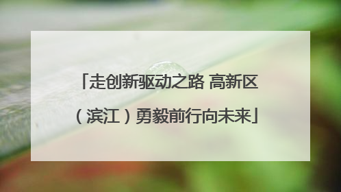 走创新驱动之路 高新区（滨江）勇毅前行向未来