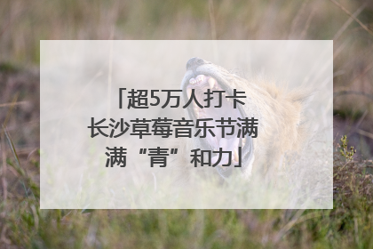 超5万人打卡 长沙草莓音乐节满满“青”和力