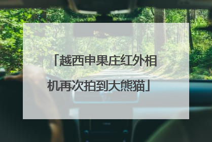 越西申果庄红外相机再次拍到大熊猫