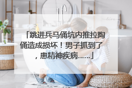 跳进兵马俑坑内推拉陶俑造成损坏！男子抓到了，患精神疾病……