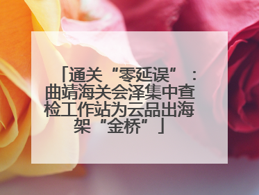 通关“零延误”：曲靖海关会泽集中查检工作站为云品出海架“金桥”