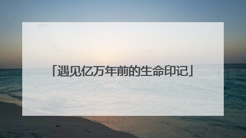 遇见亿万年前的生命印记