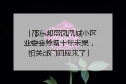 邵东邦盛凤凰城小区业委会筹备十年未果，相关部门回应来了