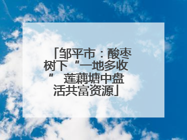 邹平市：酸枣树下“一地多收” 莲藕塘中盘活共富资源