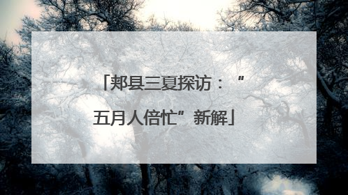 郏县三夏探访：“五月人倍忙”新解
