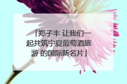 郑子丰 让我们一起共筑宁夏葡萄酒旅游 的国际新名片