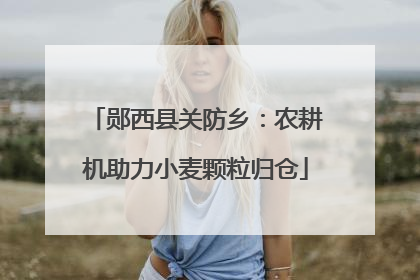 郧西县关防乡：农耕机助力小麦颗粒归仓