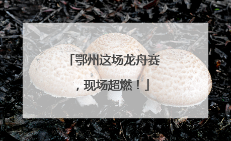 鄂州这场龙舟赛，现场超燃！