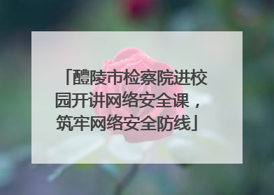 醴陵市检察院进校园开讲网络安全课，筑牢网络安全防线