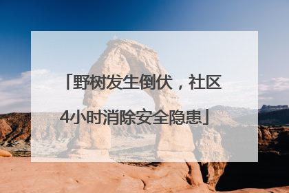 野树发生倒伏，社区4小时消除安全隐患