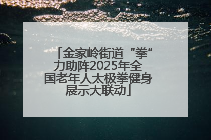金家岭街道“拳”力助阵2025年全国老年人太极拳健身展示大联动