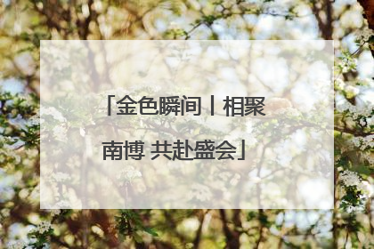 金色瞬间丨相聚南博 共赴盛会