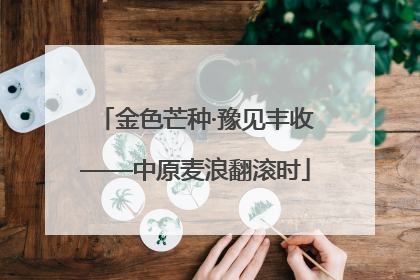 金色芒种·豫见丰收——中原麦浪翻滚时