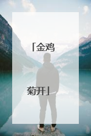金鸡菊开