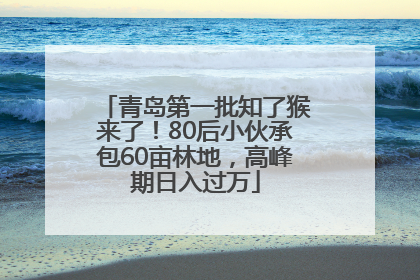 青岛第一批知了猴来了！80后小伙承包60亩林地，高峰期日入过万