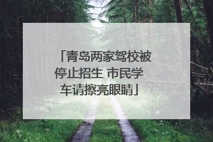青岛两家驾校被停止招生 市民学车请擦亮眼睛