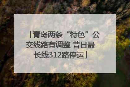 青岛两条“特色”公交线路有调整 昔日最长线312路停运