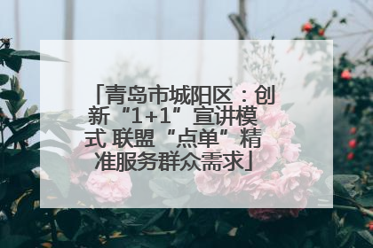 青岛市城阳区：创新“1+1”宣讲模式 联盟“点单”精准服务群众需求