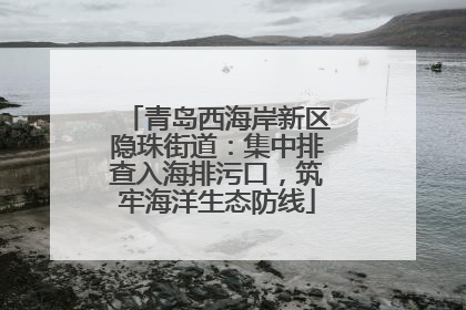 青岛西海岸新区隐珠街道：集中排查入海排污口，筑牢海洋生态防线