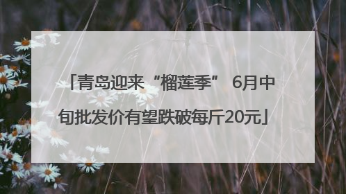 青岛迎来“榴莲季” 6月中旬批发价有望跌破每斤20元