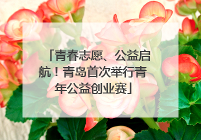青春志愿、公益启航！青岛首次举行青年公益创业赛