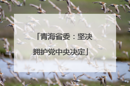 青海省委：坚决拥护党中央决定