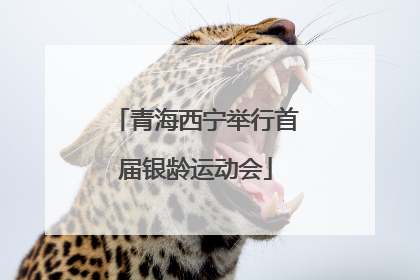 青海西宁举行首届银龄运动会