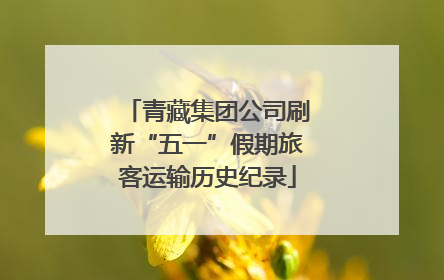 青藏集团公司刷新“五一”假期旅客运输历史纪录