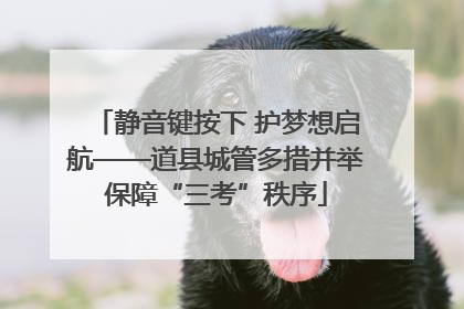 静音键按下 护梦想启航——道县城管多措并举保障“三考”秩序