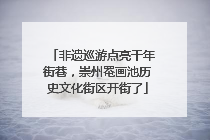 非遗巡游点亮千年街巷，崇州罨画池历史文化街区开街了