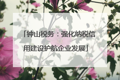 钟山税务：强化纳税信用建设护航企业发展