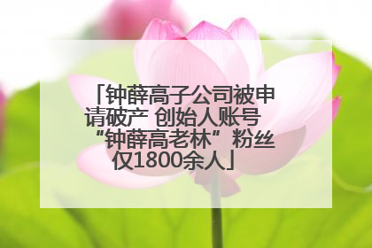 钟薛高子公司被申请破产 创始人账号“钟薛高老林”粉丝仅1800余人