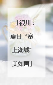 银川：夏日“塞上湖城”美如画