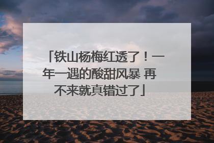 铁山杨梅红透了！一年一遇的酸甜风暴 再不来就真错过了