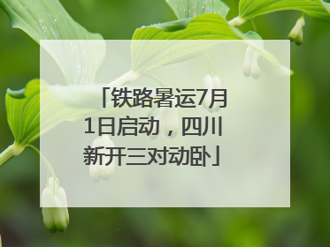 铁路暑运7月1日启动，四川新开三对动卧