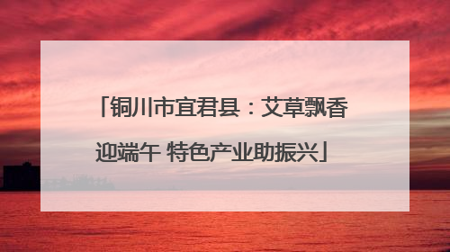 铜川市宜君县：艾草飘香迎端午 特色产业助振兴