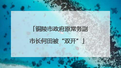 铜陵市政府原常务副市长何田被“双开”