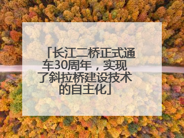 长江二桥正式通车30周年，实现了斜拉桥建设技术的自主化