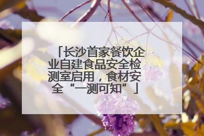 长沙首家餐饮企业自建食品安全检测室启用，食材安全“一测可知”