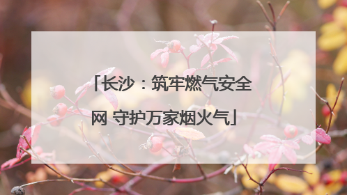 长沙：筑牢燃气安全网 守护万家烟火气