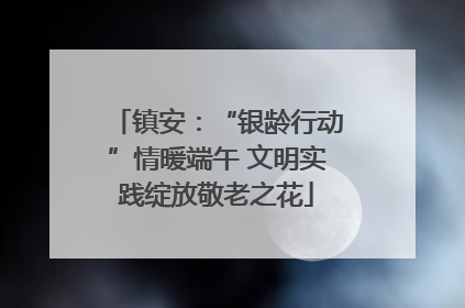 镇安：“银龄行动”情暖端午 文明实践绽放敬老之花