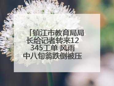 镇江市教育局局长给记者转来12345工单 风雨中八旬翁跌倒被压电瓶车下，扶不扶？镇江高职学子选择令人钦佩