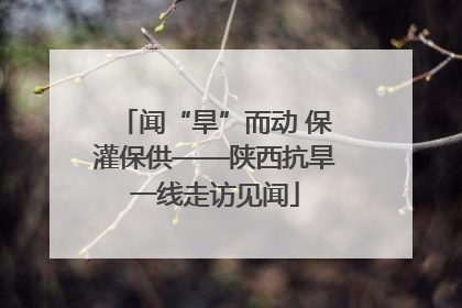 闻“旱”而动 保灌保供——陕西抗旱一线走访见闻
