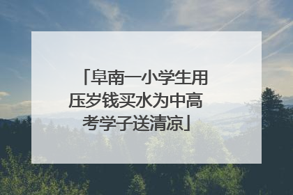 阜南一小学生用压岁钱买水为中高考学子送清凉