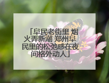 阜民老街里 烟火弄新潮 郑州阜民里的松弛感在夜间格外动人