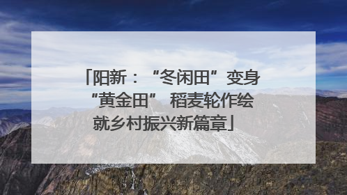 阳新：“冬闲田”变身“黄金田” 稻麦轮作绘就乡村振兴新篇章