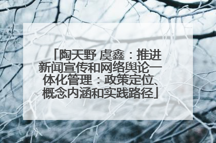 陶天野 虞鑫：推进新闻宣传和网络舆论一体化管理：政策定位、概念内涵和实践路径