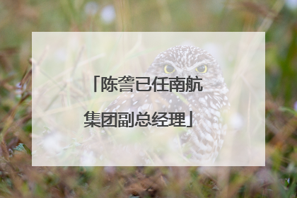 陈詟已任南航集团副总经理
