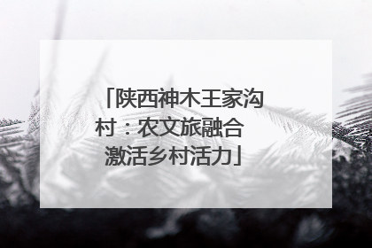 陕西神木王家沟村：农文旅融合 激活乡村活力