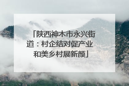 陕西神木市永兴街道：村企结对促产业 和美乡村展新颜
